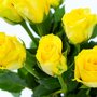 Brievenbus Rozen geel detail